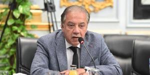 شريف الجبلي: الاستقرار السياسي والاقتصادي في مصر عنصر جذب للمستثمرين الكنديين - خبر صح