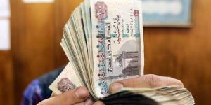 الرقابة المالية: شركات التأمين تسدد تعويضات 4 مليارات جنيه لعملائها خلال يناير - خبر صح