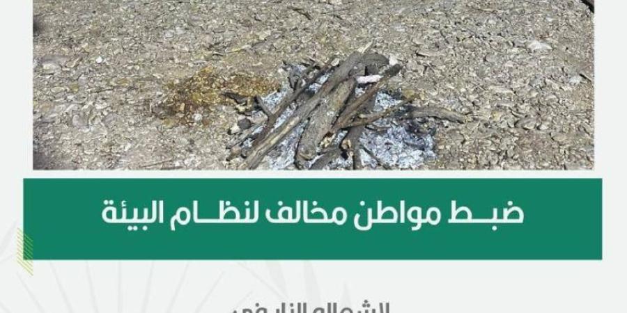 القوات الخاصة للأمن البيئي تضبط مواطنًا مخالفًا لنظام البيئة لإشعاله النار في أراضي الغطاء النباتي في محمية طويق الطبيعية - خبر صح