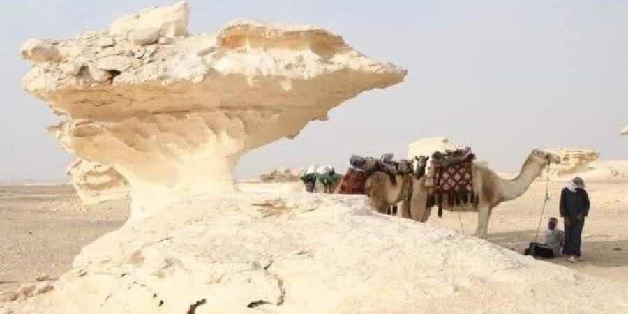 لم تتغير منذ ملايين السنين.. معالم الصحراء البيضاء بالفرافرة تضم منحوتات صخرية بديعة - خبر صح