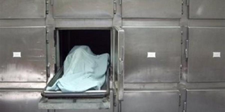 صعق كهربائي ينهي حياة طفل في دار السلام بسوهاج - خبر صح